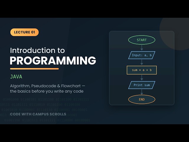 Java Course Lecture 1 | Introduction to Programming | Programming Basics for Beginners