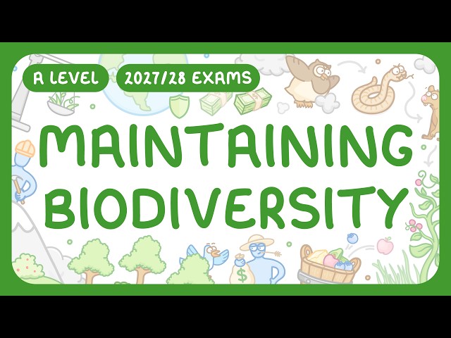 A-Level Biology - Maintaining Biodiversity - Reasons To Maintain It | Conservation (2027/28 exams)