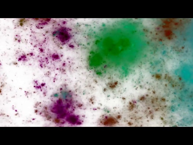 moenotone demo 3