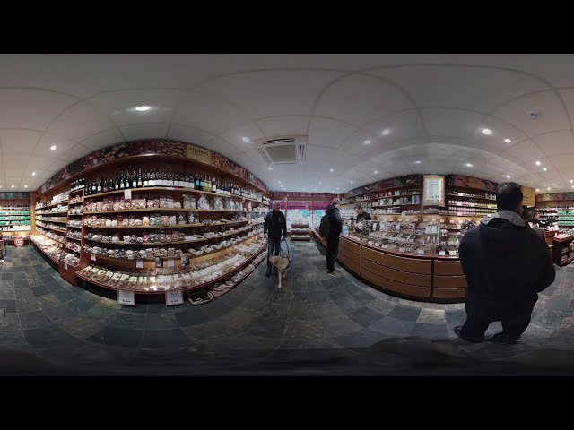 Guide dog training | virtual reality 360° video