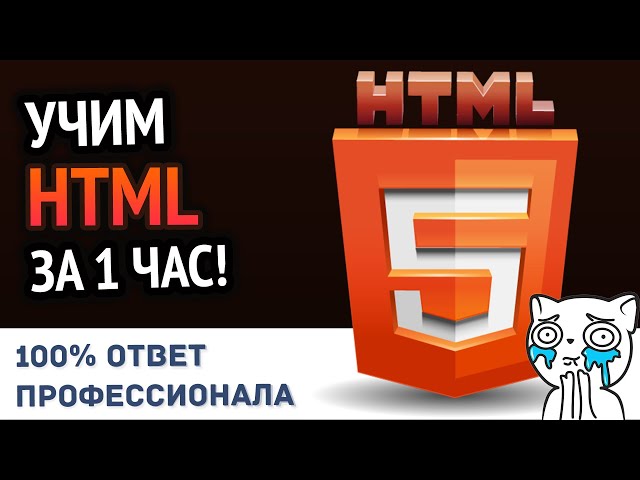 Learn HTML in 1 Hour! #FromAProfessional | HD Remake