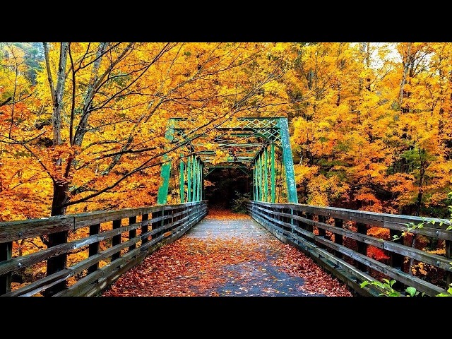 "Autumn Rustling Leaves" Beautiful Relaxing Music, Peaceful Soothing Instrumental Music by Tim Janis