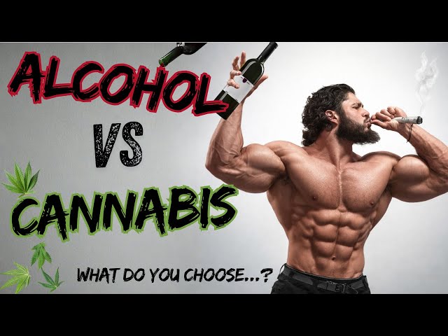 Alcohol vs Cannabis for Muscle Growth (Which Is Worse for Bodybuilding?)