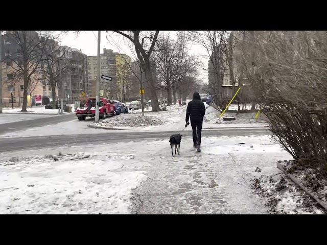 Second (last) of the Polar Vortex coldest days of winter so far - Toronto Canada February 4, 2023