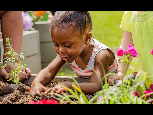 How to build successful youth development nonprofit organizations?
