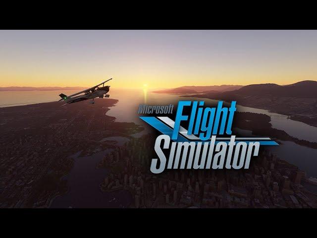 Flight Simulator (2020)