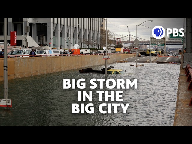 The Climate Paradox: Why New York City Is Greener Than You Think