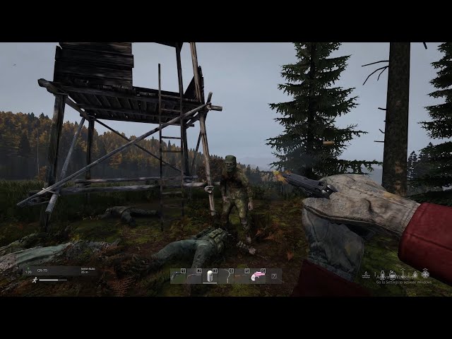 DayZ, Chernarus (No Commentary)