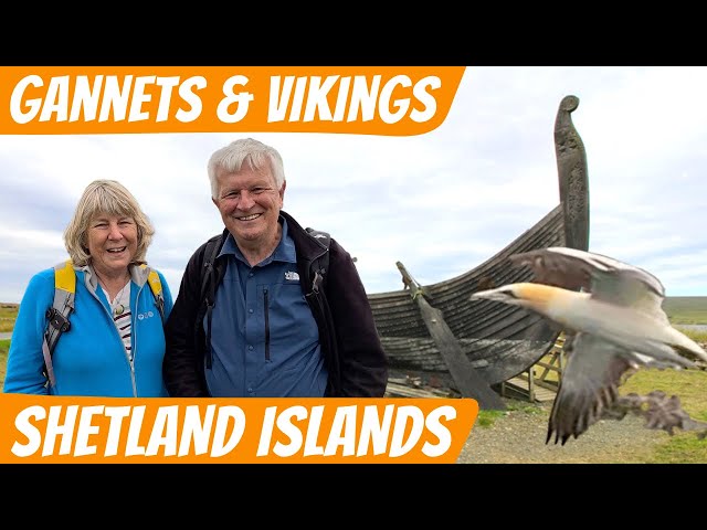 Finding Magnificent Gannets and a Viking Long Ship
