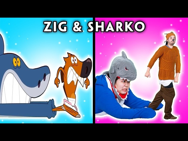 UNEXPECTED INCIDENT | Compilation Of Zig & Sharko Funny Episodes | Woa Parody