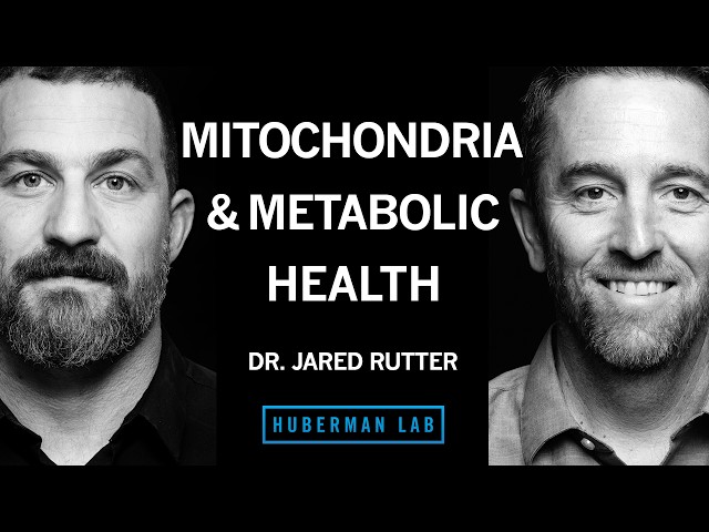 How Mitochondria Control Your Metabolism | Dr. Jared Rutter