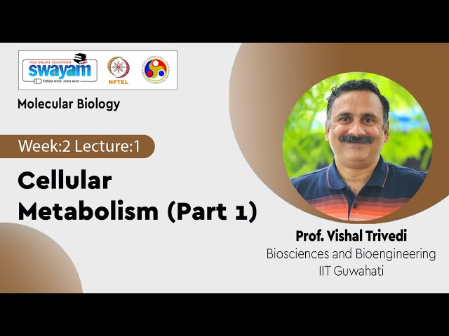 Lec 6: Cellular Metabolism (Part 1)