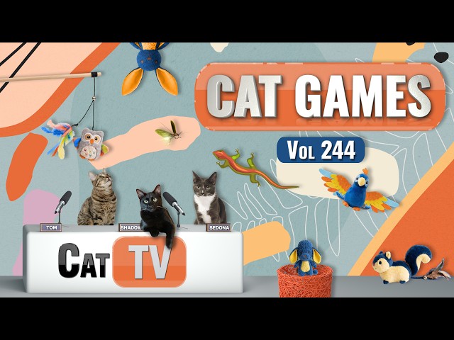 CAT Games | Ultimate Cat TV Compilation Vol 244 | 8 HOURS 🐝🐞🦋🦎🦜🐜🐭🧵