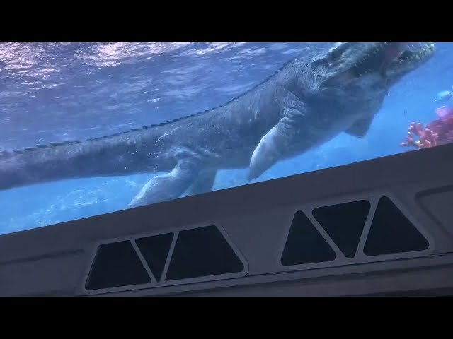 Universal Studios Hollywood Jurassic World On-Ride (No Copyright)