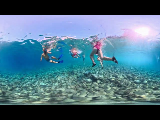I Looked Around Underwater… And Saw Something Beautiful | 360° Dive 8K