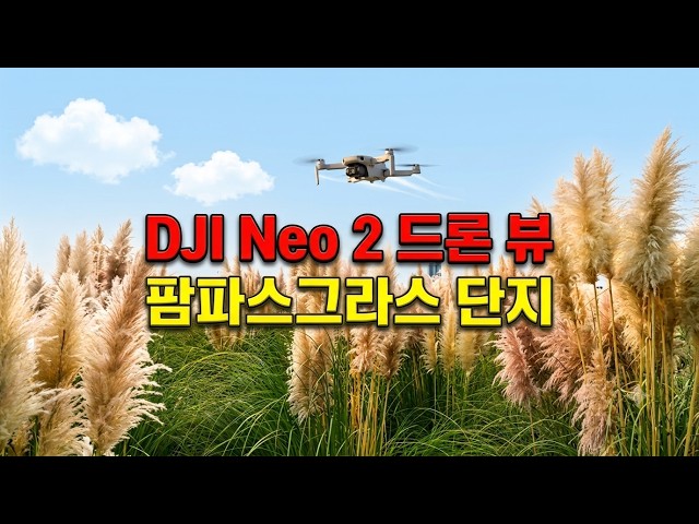 [4K 드론영상] 드론 초보가 찍은 가을이 온전하게 내려앉은 #울산 #슬도! #팜파스그라스 # #김성백 #종합예술인