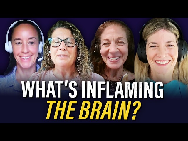 Is Brain Inflammation the Missing Link? Brain Inflammation Collaborative & Dr. Ina Stephens | Ep 211
