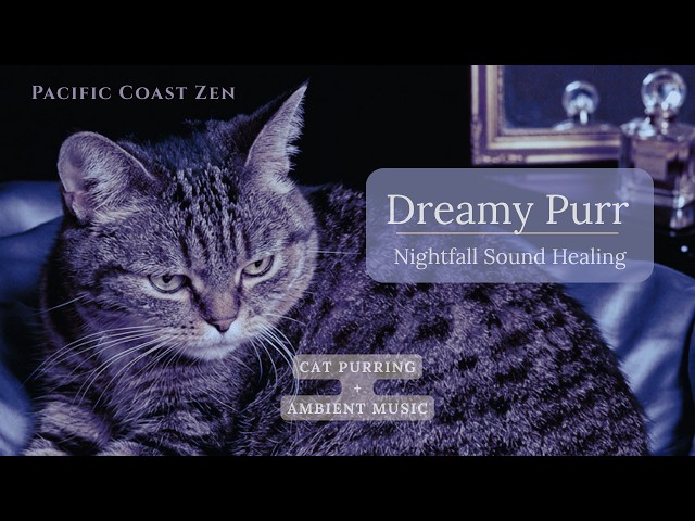 100 Minutes of Real Cat Purring & Ambient Music 🐾 Deep Relaxation to Fall Asleep Fast