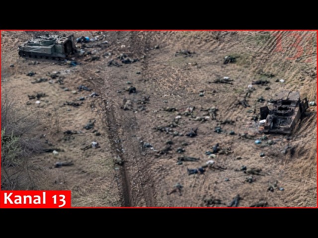 Terrible crisis for Russian army: Bodies from Putin's troop are piling up in the fields of Ukraine