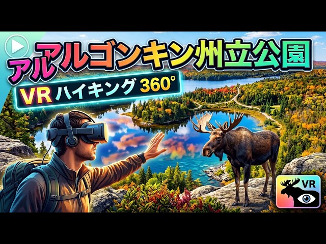 VR360 アルゴンキン州立公園　紅葉ハイキング
