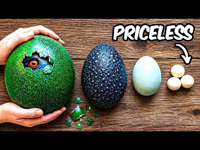 What’s growing inside these eggs? 🥚 Hatching experiment