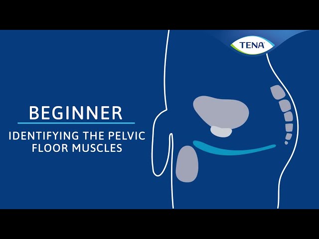 02 - identifying the Pelvic Floor Muscles - Mens BEGINNER Pelvic Floor EXERCISE