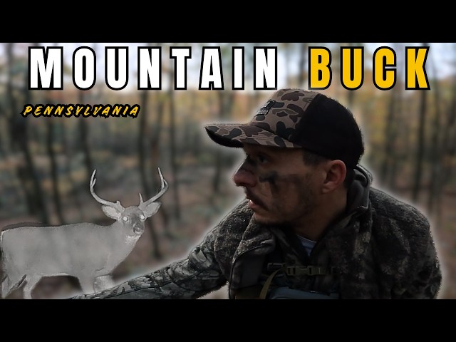Mountain Buck Encounter: 7 Brutal Days on PA Public Land