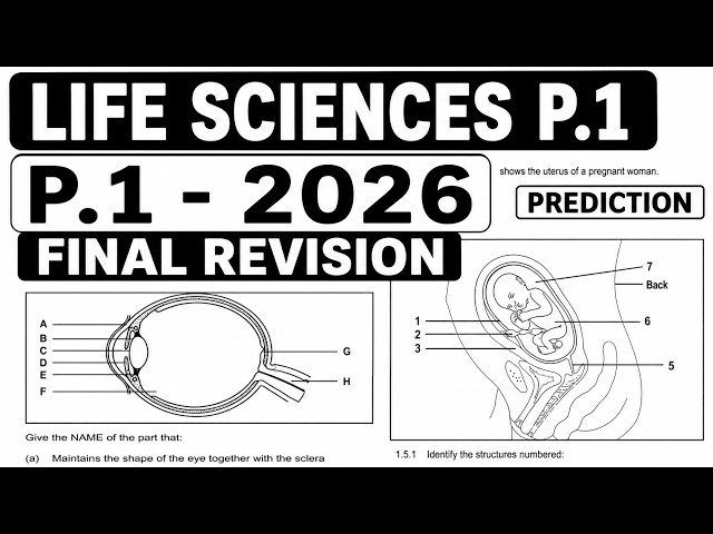 FINAL REVISION LIFE SCIENCE GRADE 12 PREDICTION SCOPE PRELIM EXAM THUNDEREDUC LIFE SCIENCES GRADE 12