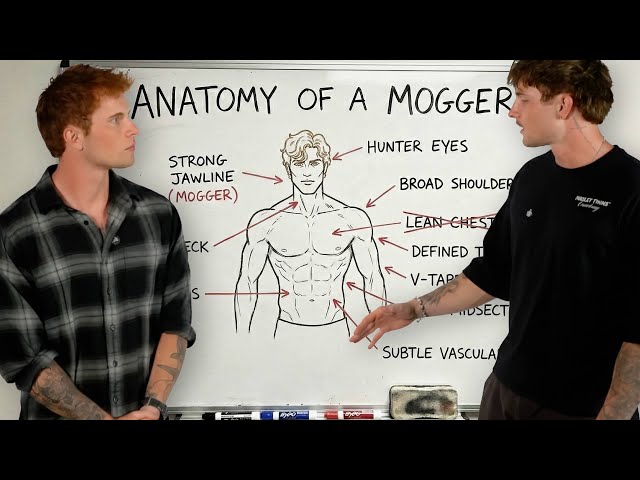 How to Become a Jacked Mogger (Full Gym Looksmaxxing Guide)
