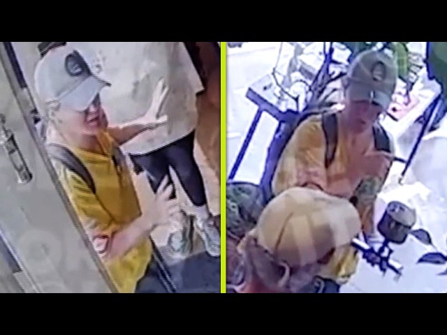 Kelly Clarkson vs. The Art of Play: New Security Footage of Bird-Buying Incident Surfaces