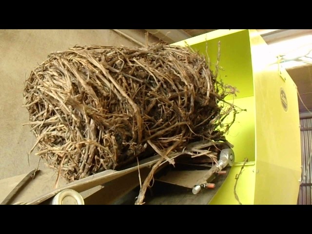 CAEB INTERNATIONAL Pellet Line