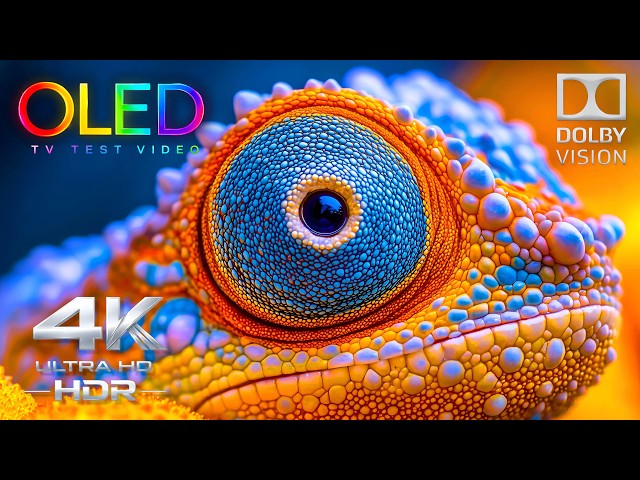 The OLED Display Test Your TV Was Built For | 4K HDR 60FPS Dolby Vision Demo (8K/4K Video TV)