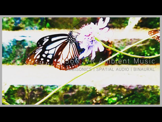 360° VR AMBIENT MUSIC｜flutter
