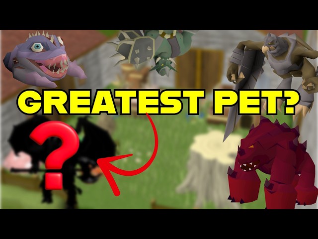 Ranking The TOP 24 BEST Boss Pets In OSRS