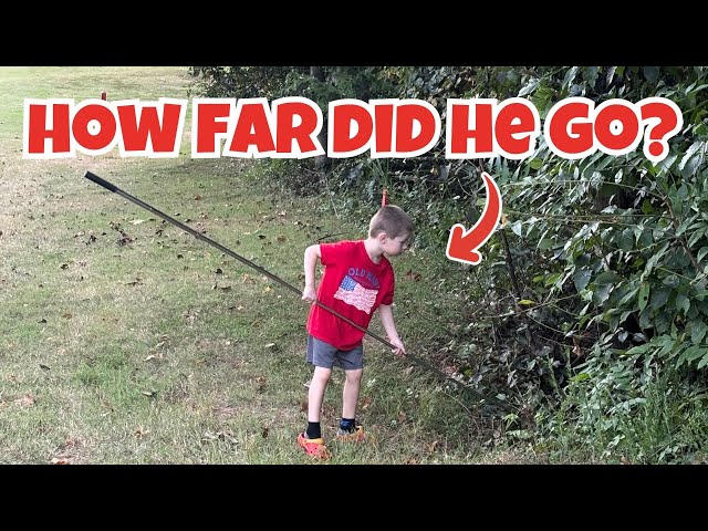 Golf Ball Hunting Deep In The Woods