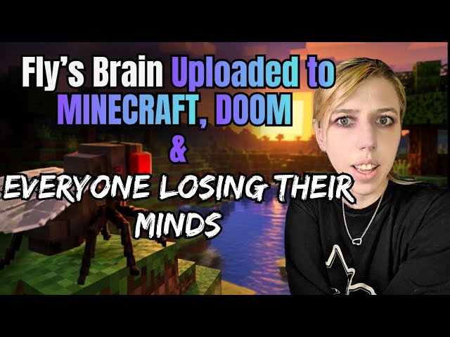 Fly’s Brain Uploaded to MINECRAFT, DOOM EVERYONE'S LOSING THEIR MINDS