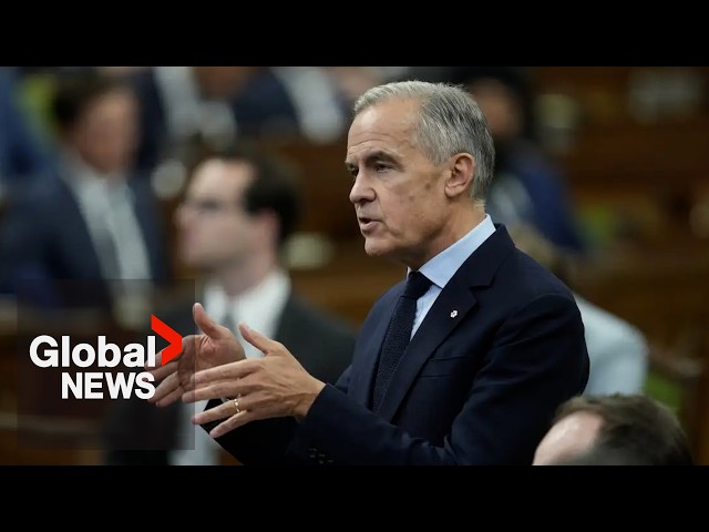Carney defends use of Chinese steel on LNG Canada project | FULL