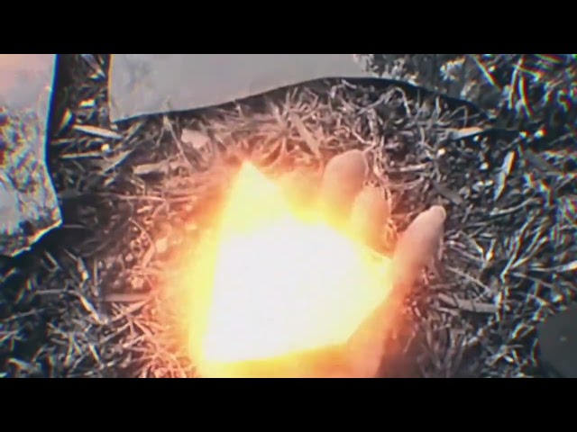 Every War I Know - CÆB
