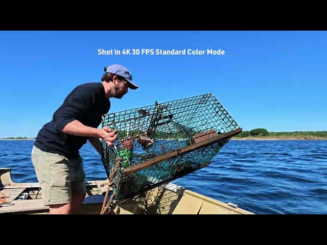 Hauling Lobster Traps in POV with the Insta360 Luna Pro