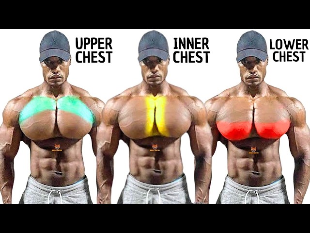 TOP 5 UPPER INNER LOWER CHEST WORKOUT AT GYM