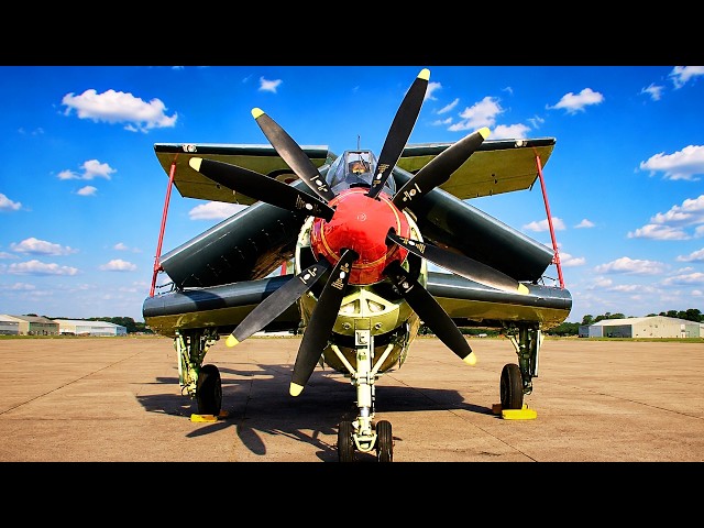 How Britain Built a Brute for a Job Nothing Else Could Do ¯\_(ツ)_/¯ The Fairey Gannet