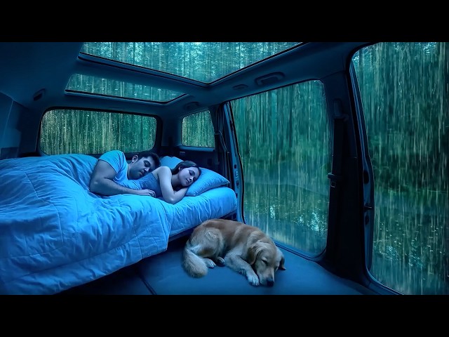Cozy Rain with Thunder in Car ⛈️ ASMR Rain Sounds for Deep Sleep