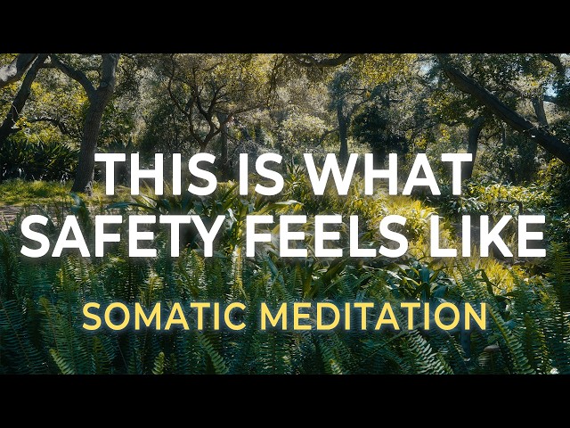 Teach Your Body What Safety Feels Like | Gentle Somatic Meditation for Nervous System Healing