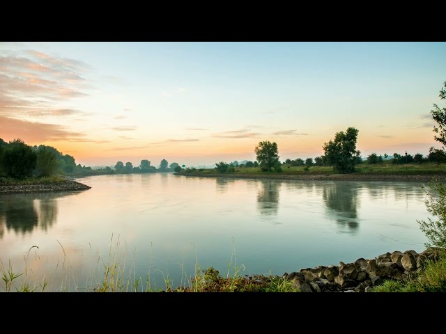 Having a Panic Attack? Play This Now | Guided Grounding