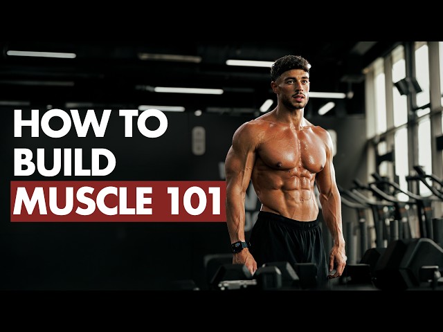 How To Build Muscle (Explained In 7 Levels)