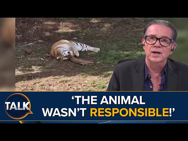 ‘The Tiger Just Behaved Like A TIGER!’ | Fatal Zoo Attack Sparks Safety Questions