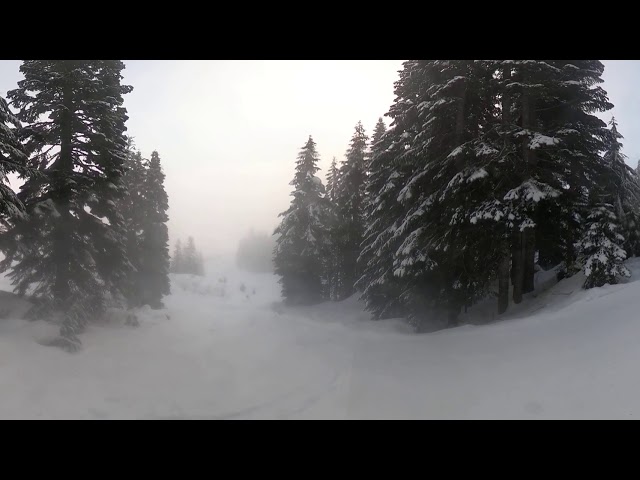 Splitboarding at Snoqualmie Pass with my blue heeler on Dec 1, 2020 a few days before they open.