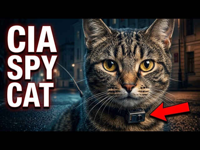 The CIA's Secret Program That Trained Animals to KILL