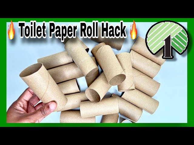 Turn Toilet Paper Rolls Into This GENIUS Dollar Tree DIY | Dollar Tree DIY