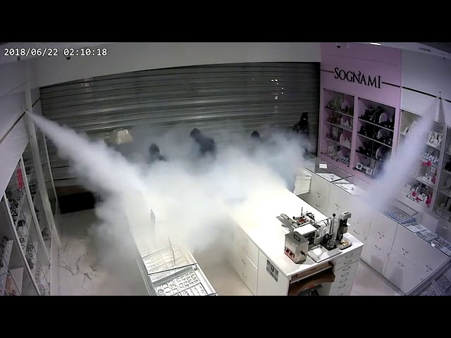 DefenderTech Security Fog System